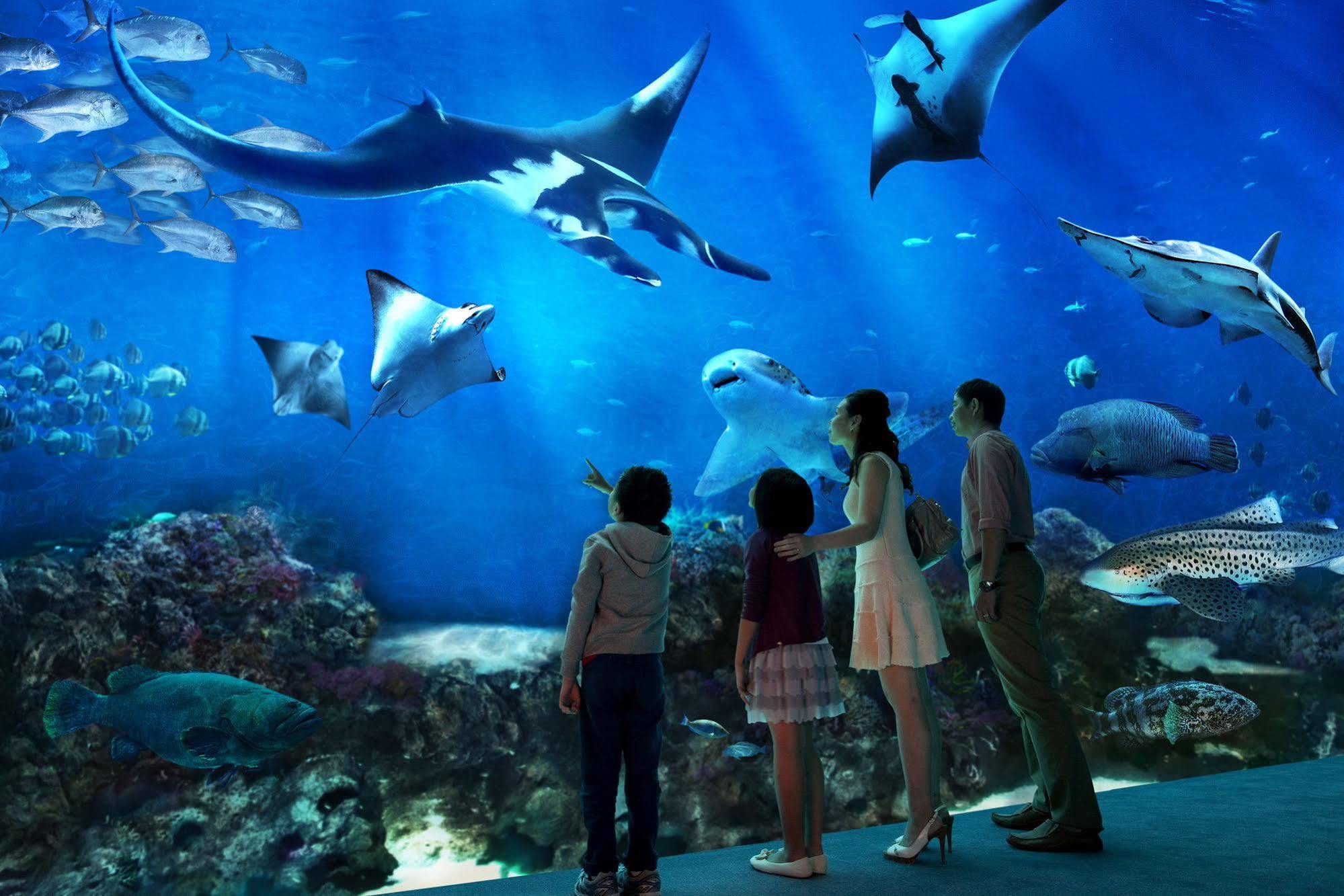 World Sentosa - 5* Singapore
